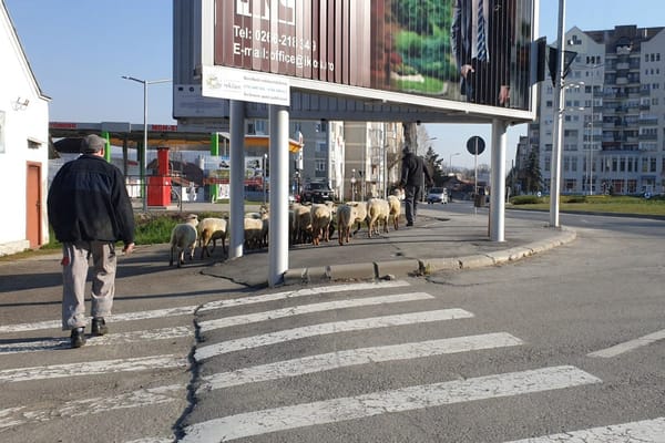 Lassíts be húsvétra, de tudd, hol a fogorvos!