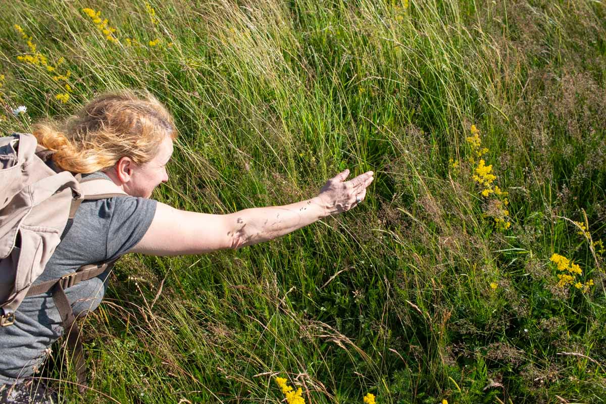 Így lett az avasi hagyományból giccs és sztátuszszimbólum